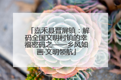 嘉禾县晋屏镇：解码全国文明村镇的幸福密码之——乡风如画·文明领航